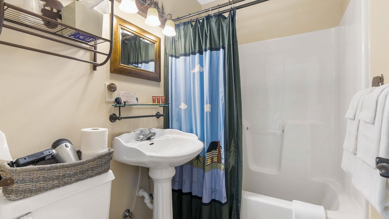 Photo of Bathroom in Downtown Branson