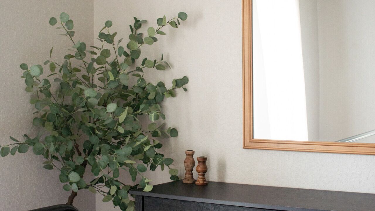 Photo of Bedroom in Canyon Lake