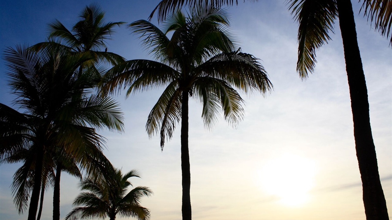 Photo of Others in Coral Ridge Isles