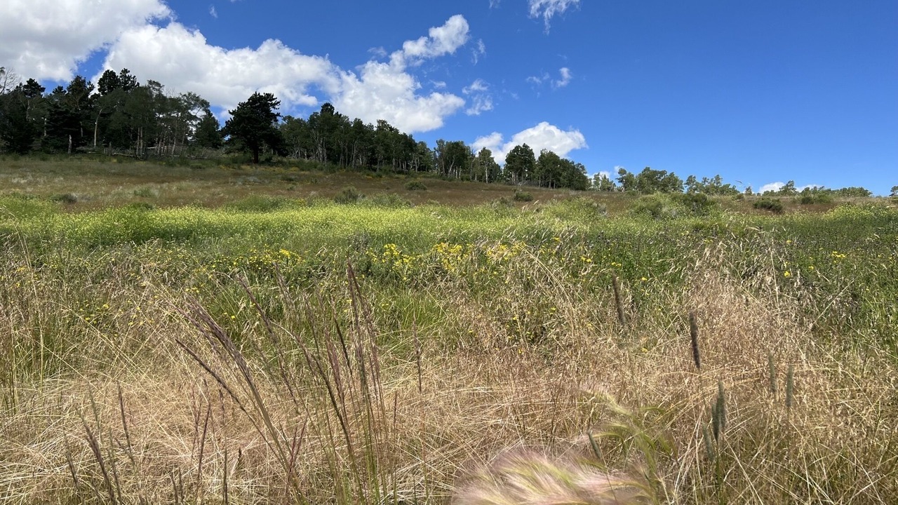 Photo of Outdoor in Fort Garland