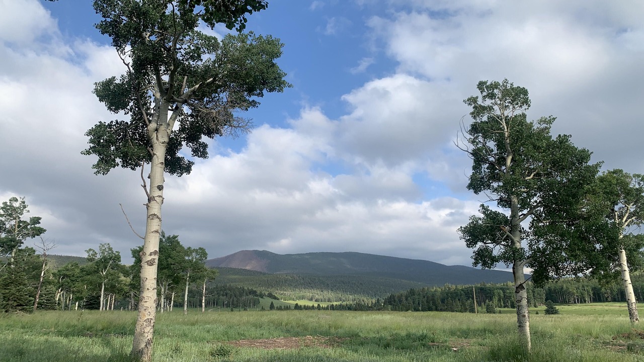 Photo of Outdoor in Fort Garland