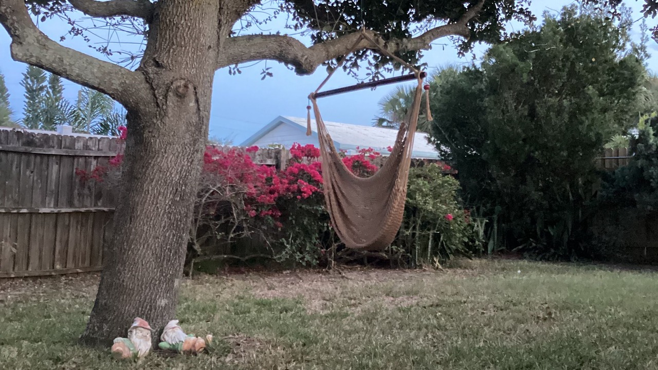Photo of Outdoor in Colin Park