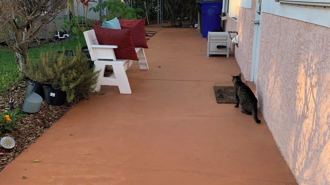 Photo of Patio Balcony in Lauderdale Lakes