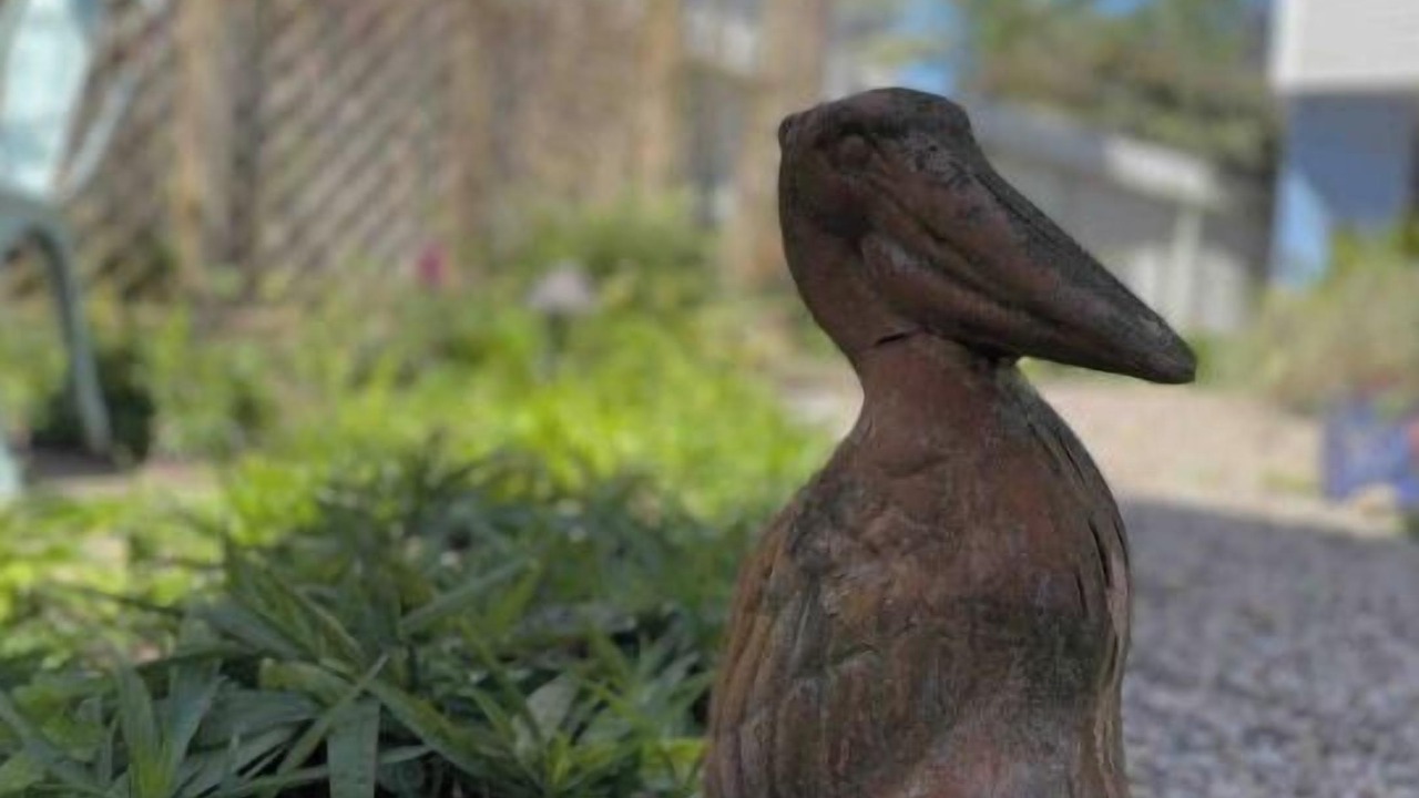 Photo of Outdoor in Galveston