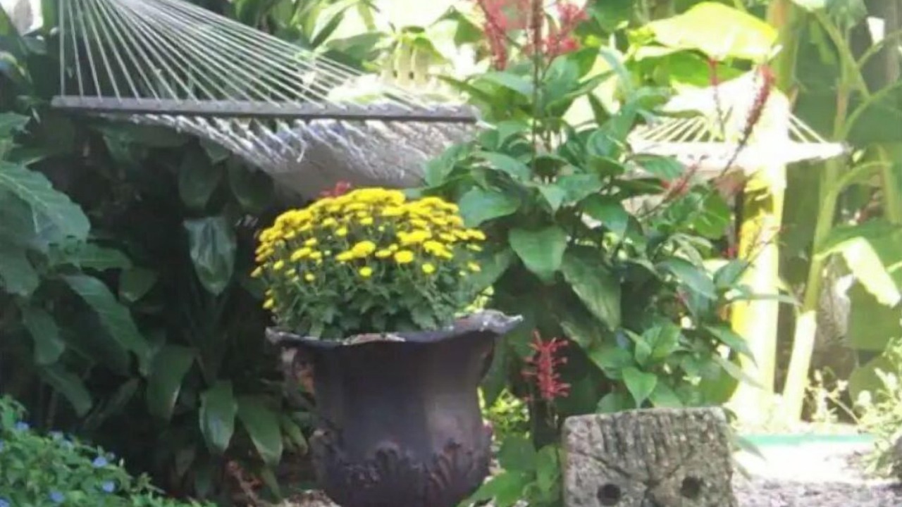 Photo of Outdoor in Galveston