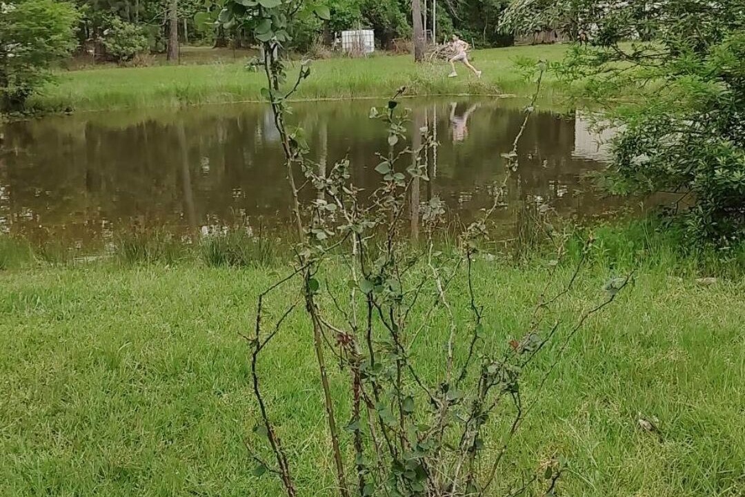 Photo of Outdoor in Beaumont
