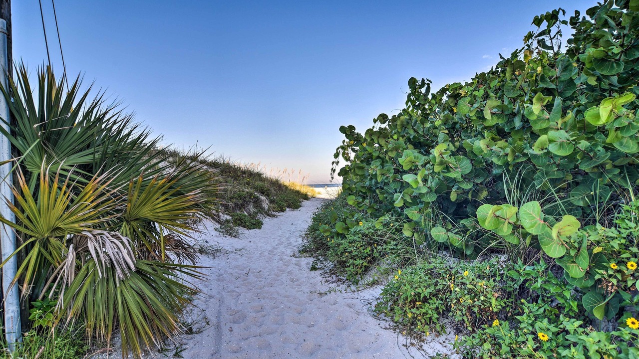 Photo of Others in Clearwater Beach