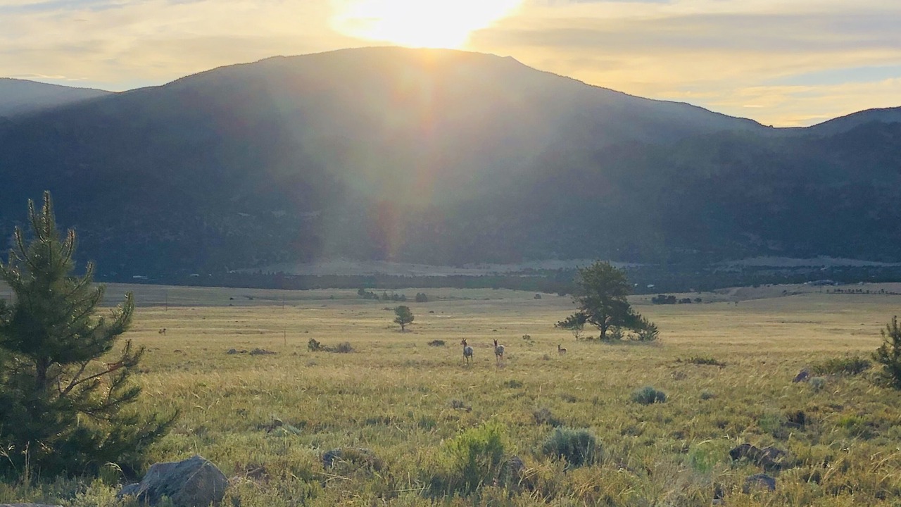 Photo of Others in Buena Vista