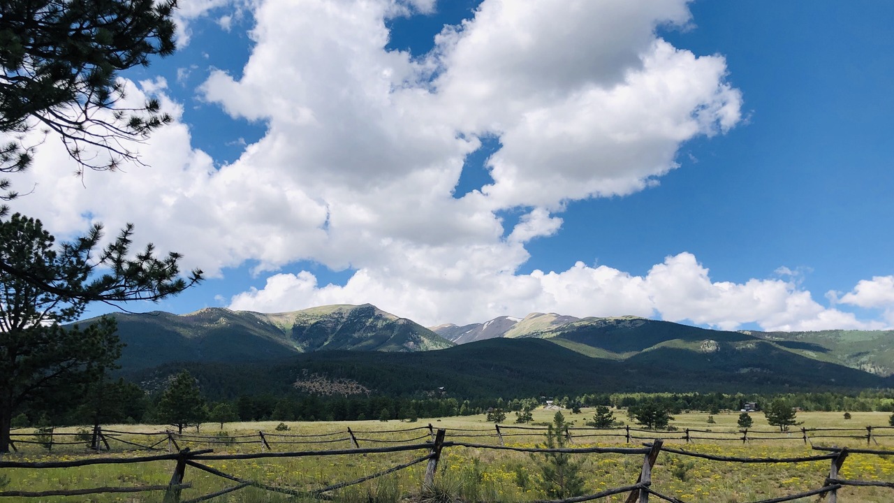 Photo of Others in Buena Vista