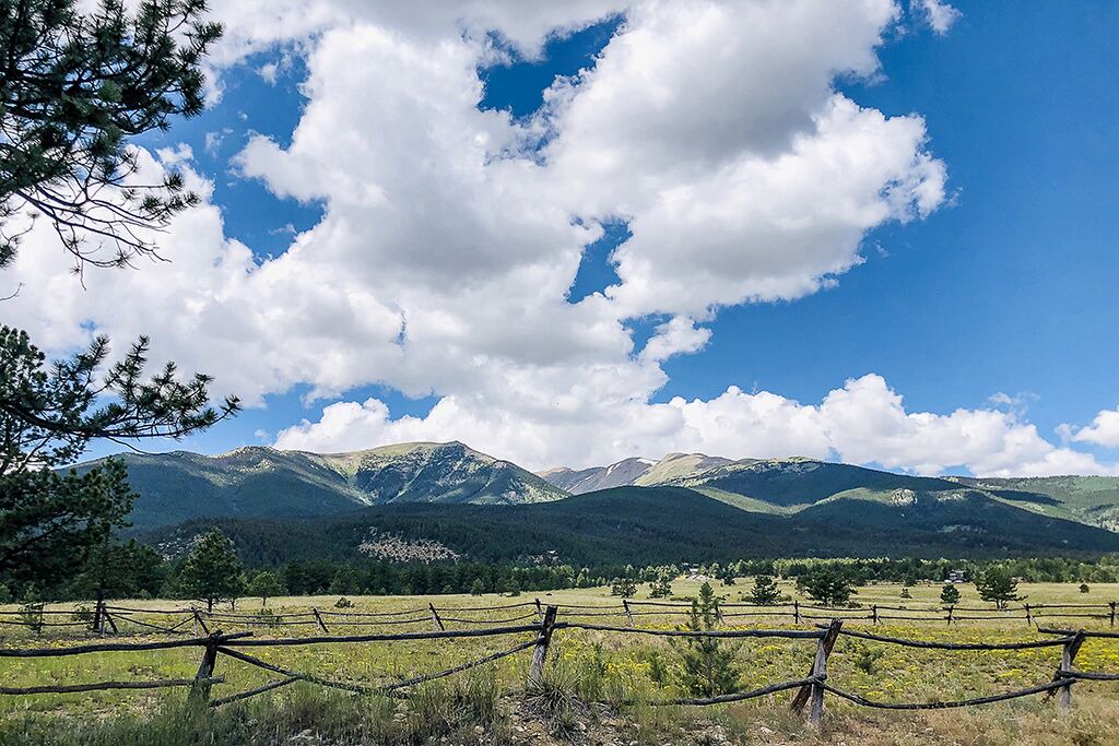 Photo of Others in Buena Vista