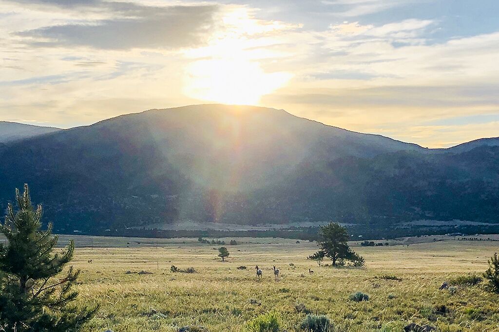 Photo of Others in Buena Vista