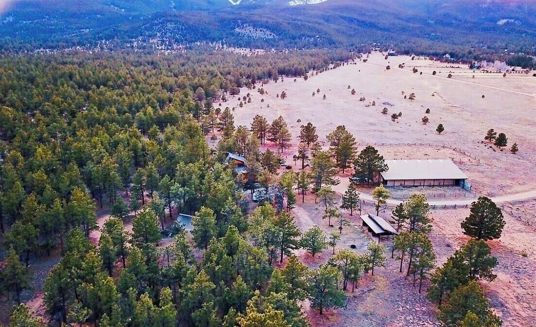 Photo of Others in Buena Vista