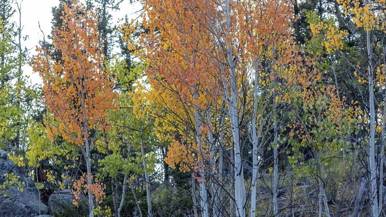 Photo of Outdoor in Indian Mountain