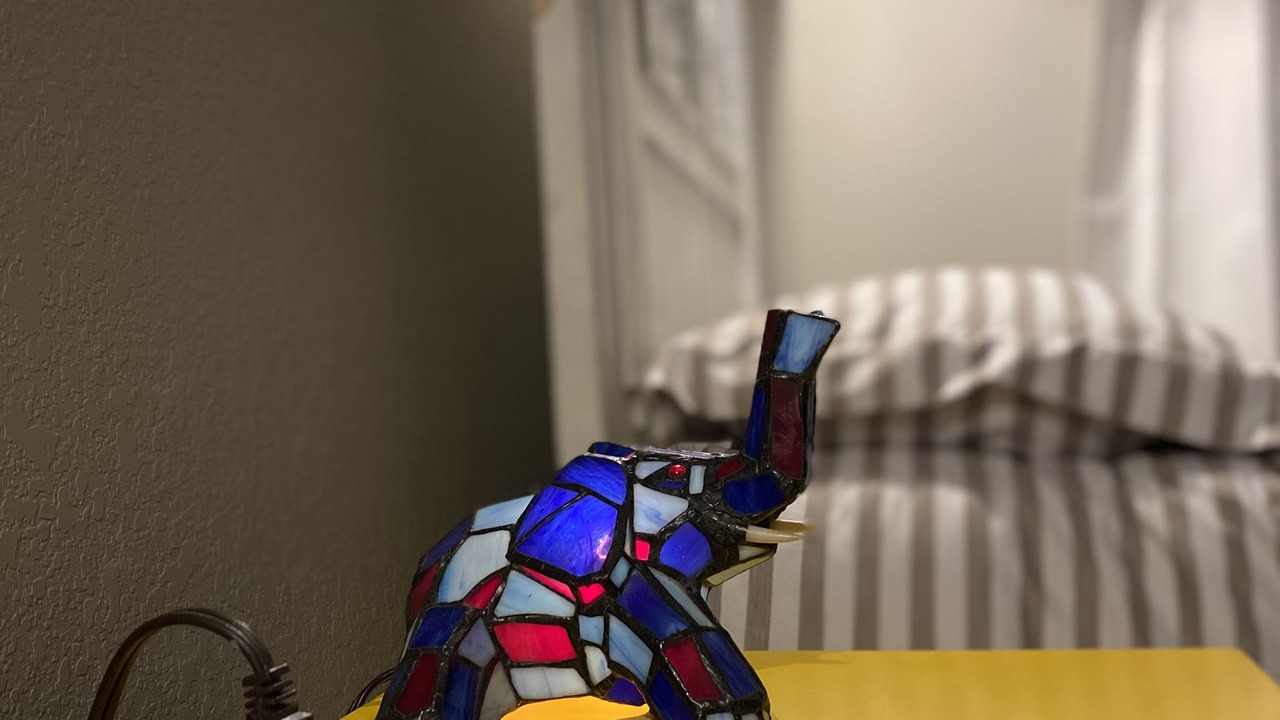 Photo of Bedroom in Canyon Lake