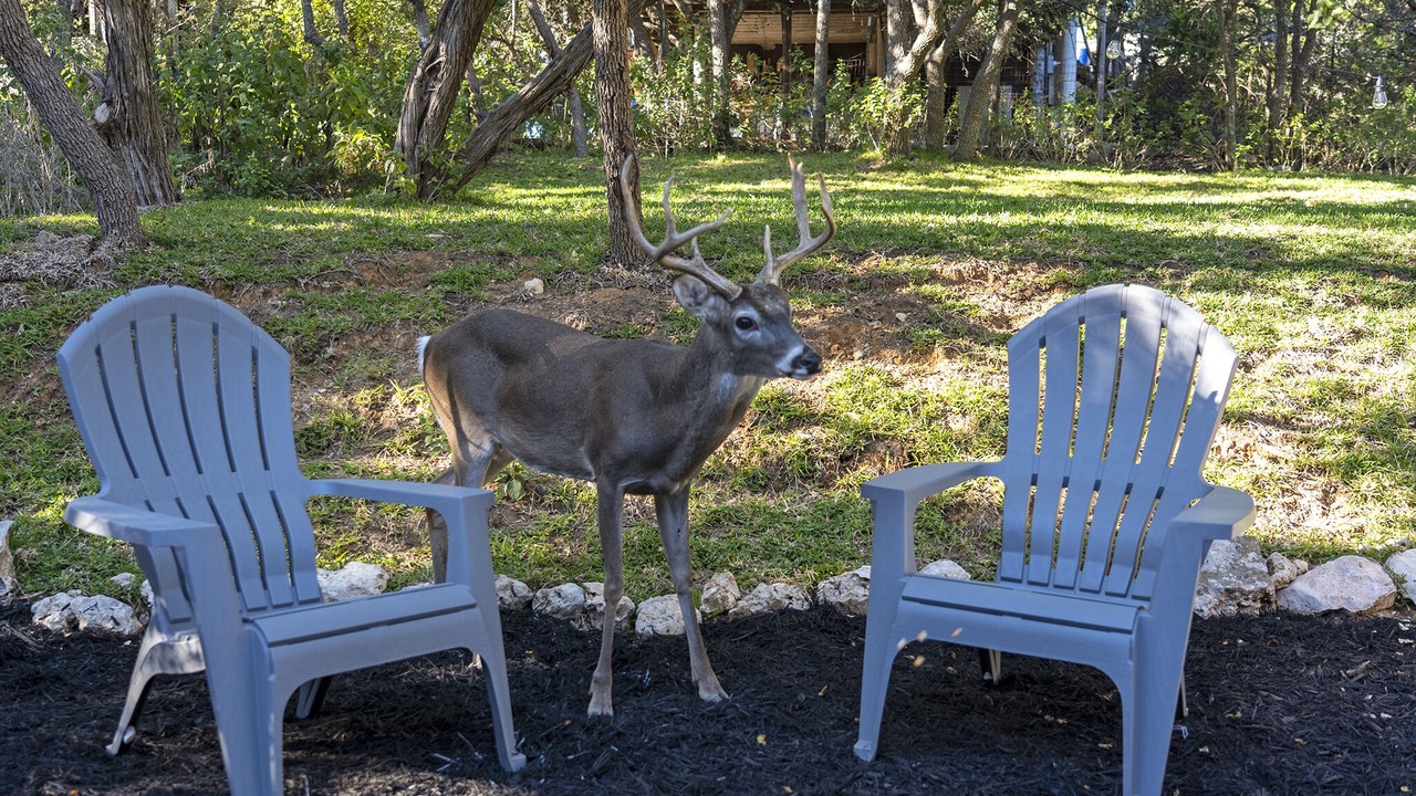 Photo of Outdoor in Canyon Lake