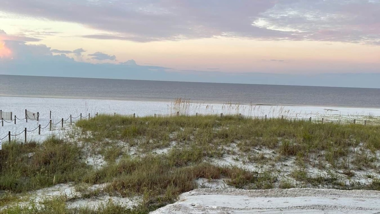 Photo of Others in Mexico Beach
