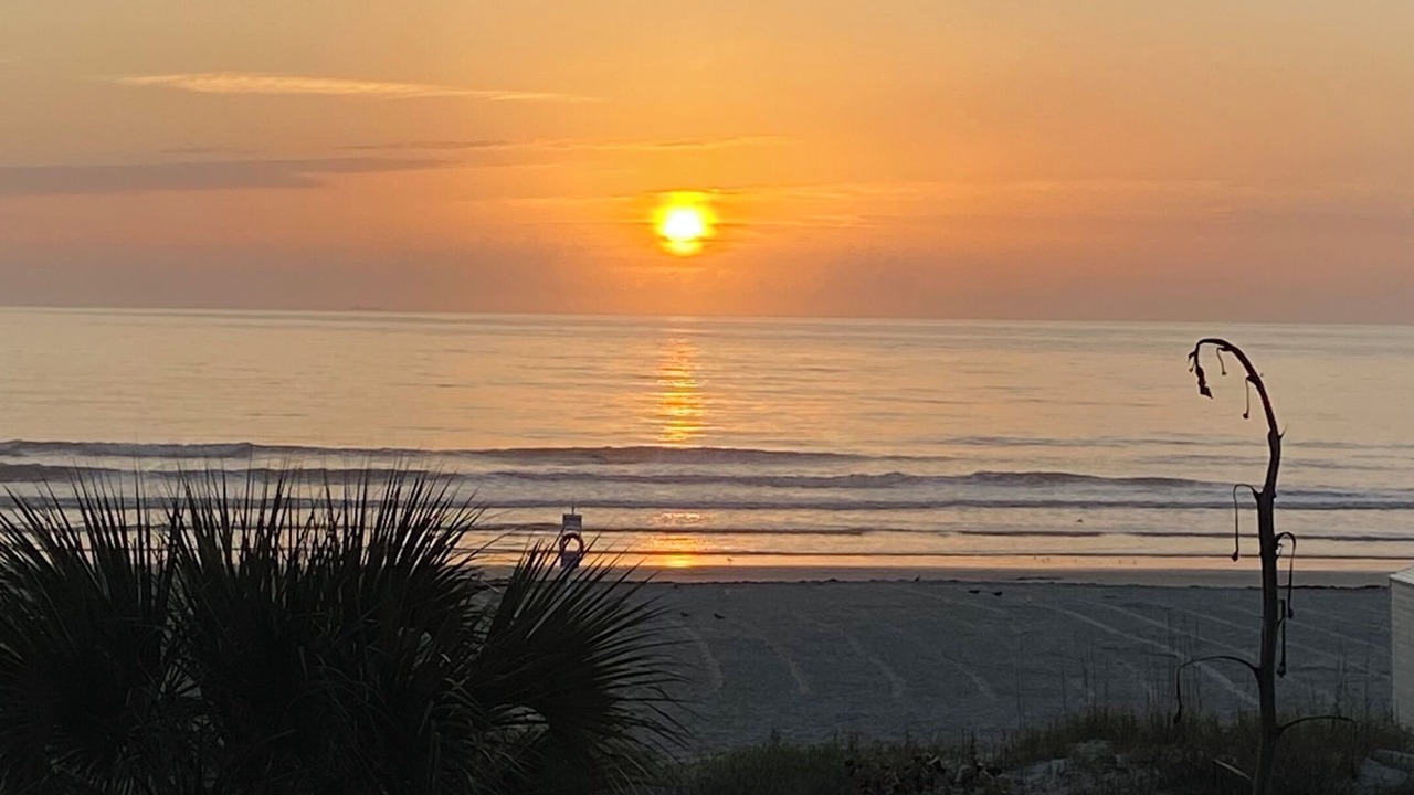 Photo of Others in Cocoa Beach