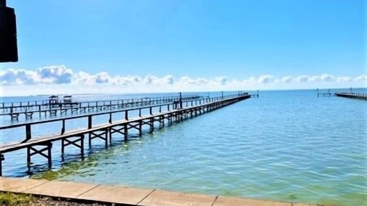 Photo of Others in Port Mansfield