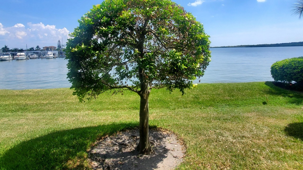 Photo of Outdoor in St. Petersburg