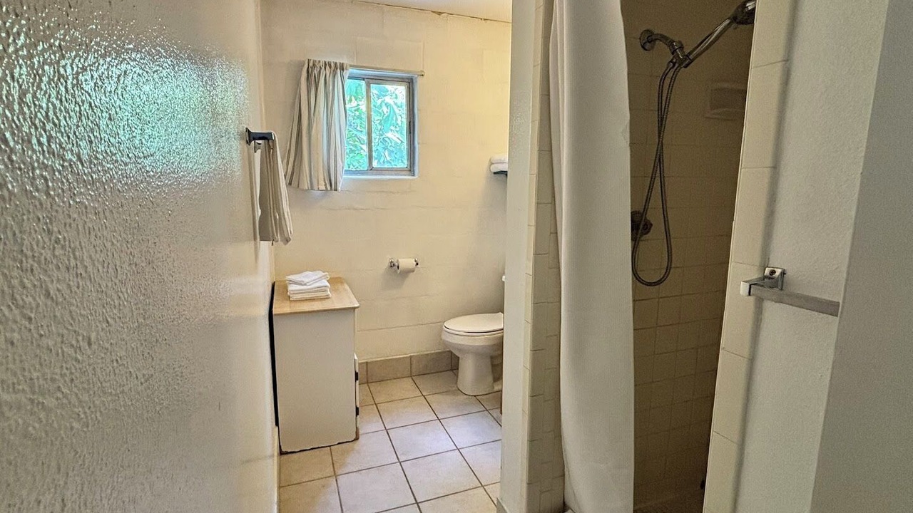 Photo of Bathroom in Kingsland