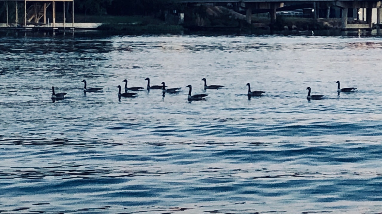 Photo of Outdoor in Kingsland