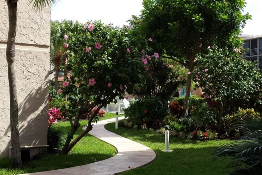 Photo of Outdoor in Bel Air
