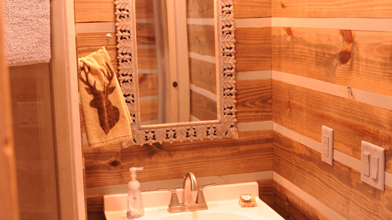 Photo of Bathroom in New Braunfels