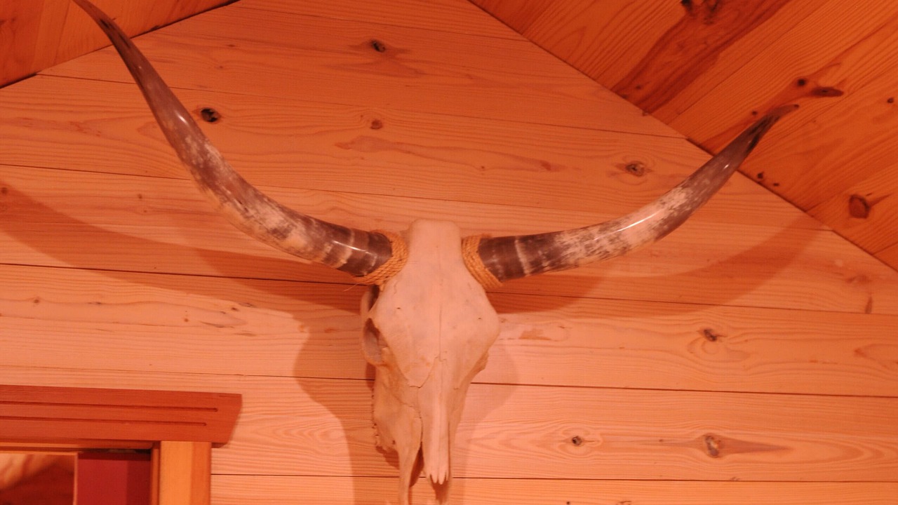 Photo of Others in New Braunfels