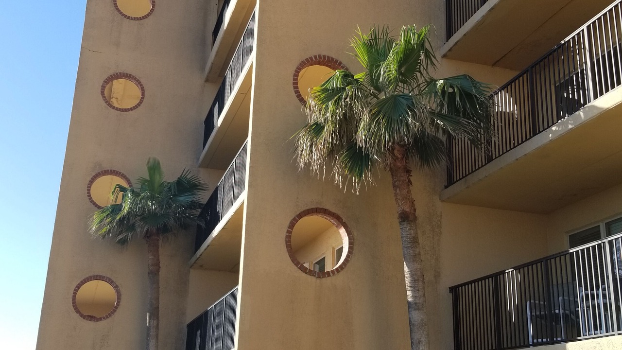 Photo of Others in South Padre Island