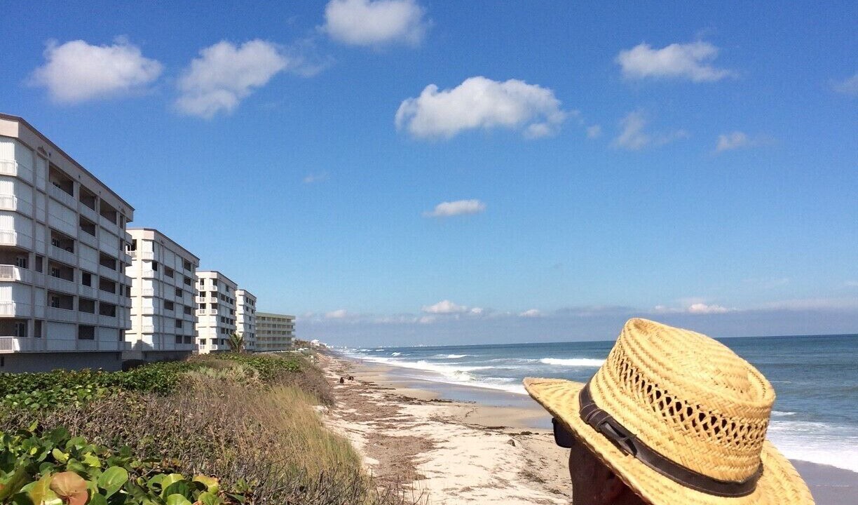 Photo of Others in Seacoast Shores