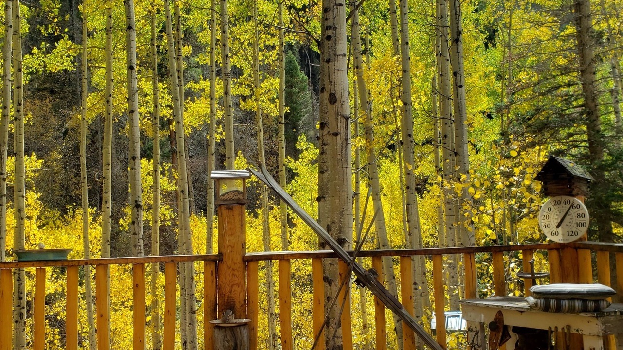 Photo of Others in Red River