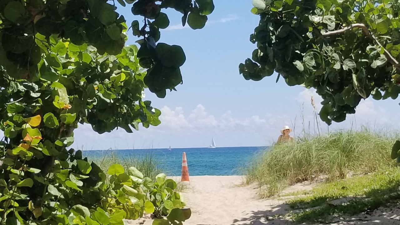 Photo of Others in Deerfield Beach