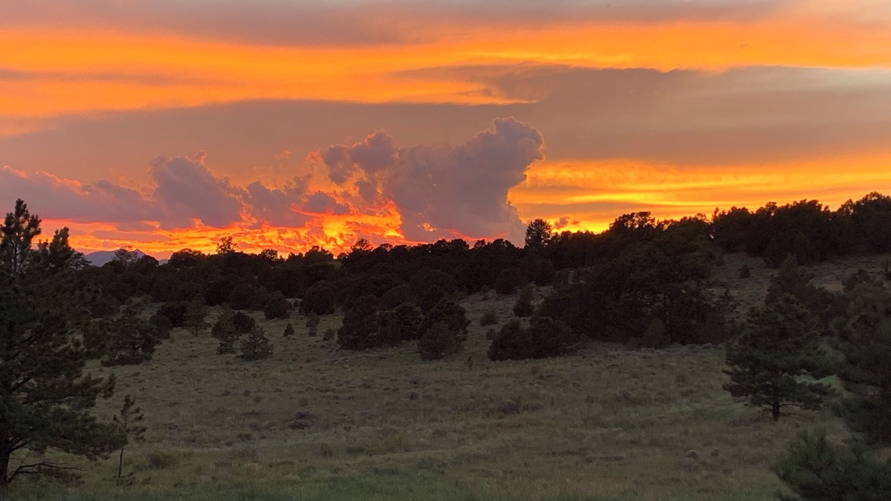 Photo of Others in Westcliffe