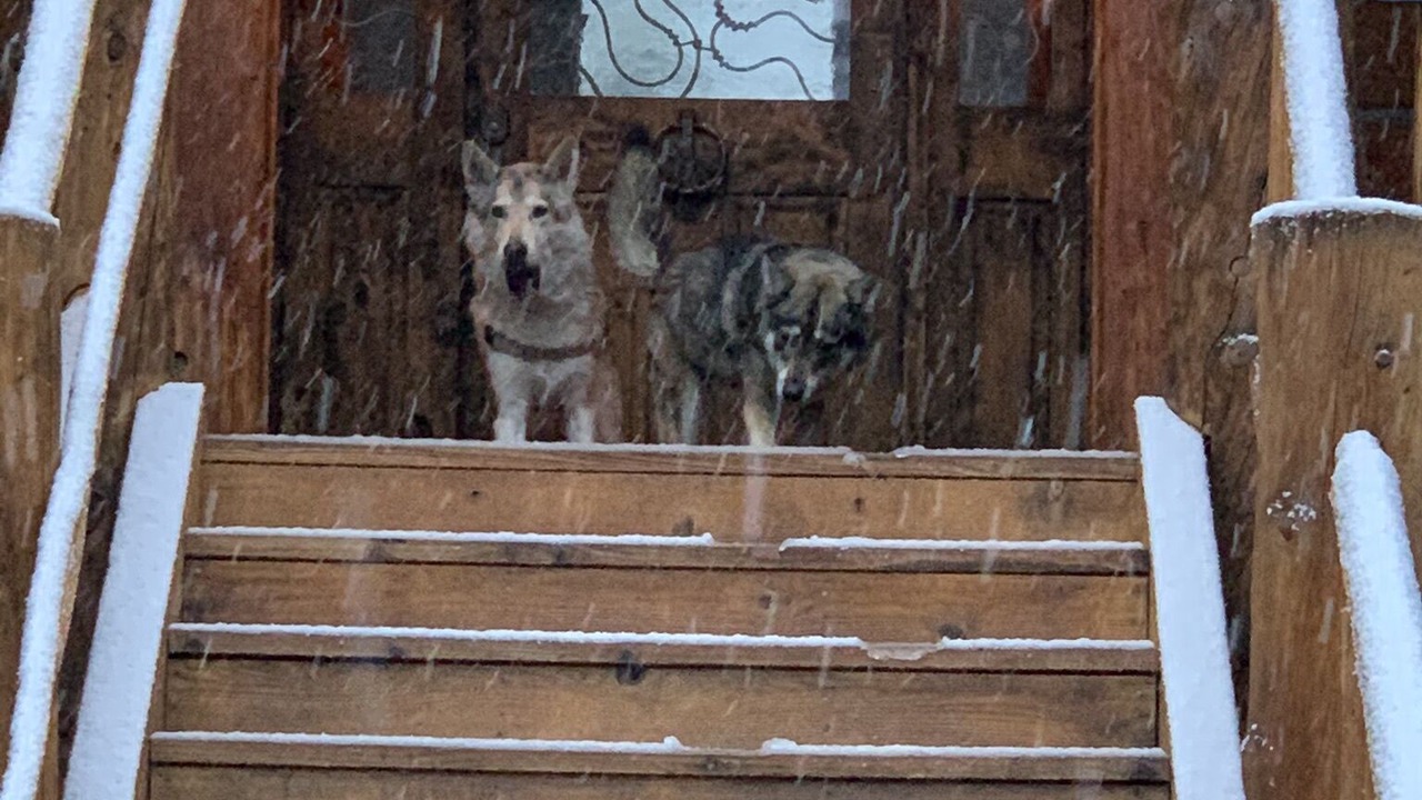 Photo of Outdoor in Almont
