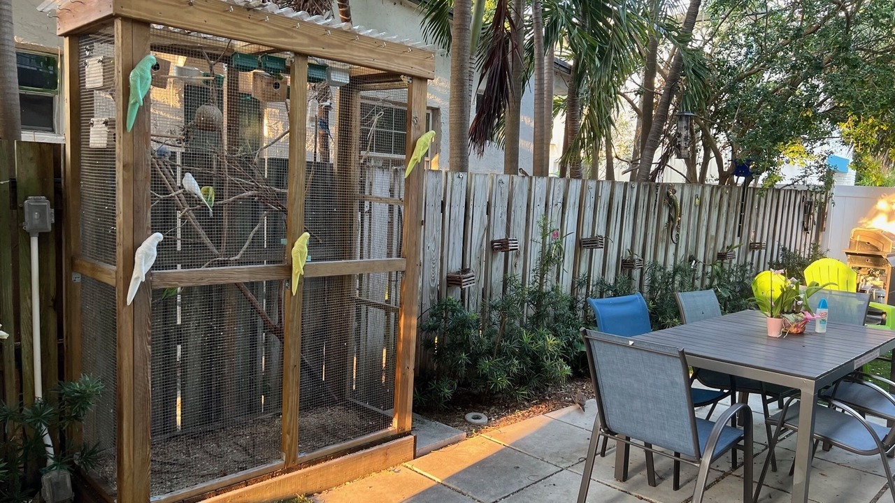 Photo of Outdoor in East Fort Lauderdale