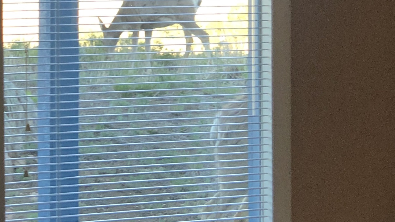 Photo of Others in Westcliffe