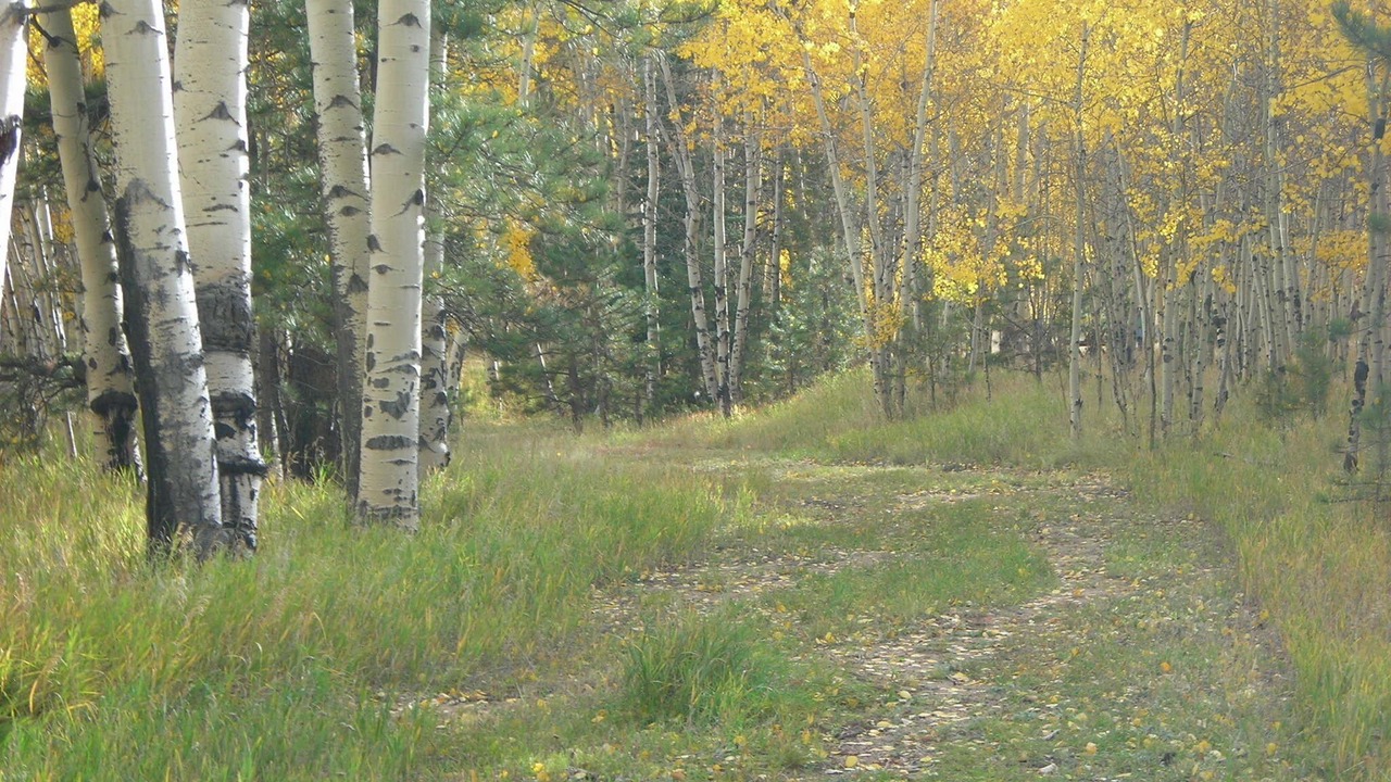 Photo of Outdoor in Lake George