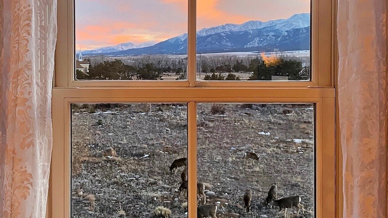Photo of Others in Buena Vista