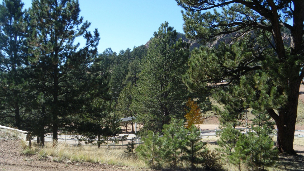 Photo of Outdoor in Cripple Creek