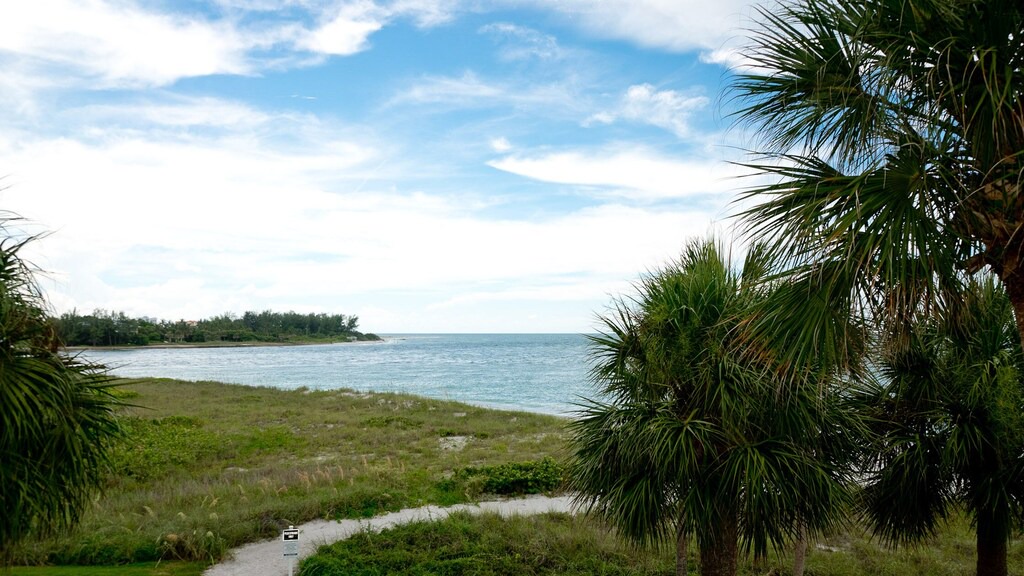 Photo of Outdoor in Sarasota