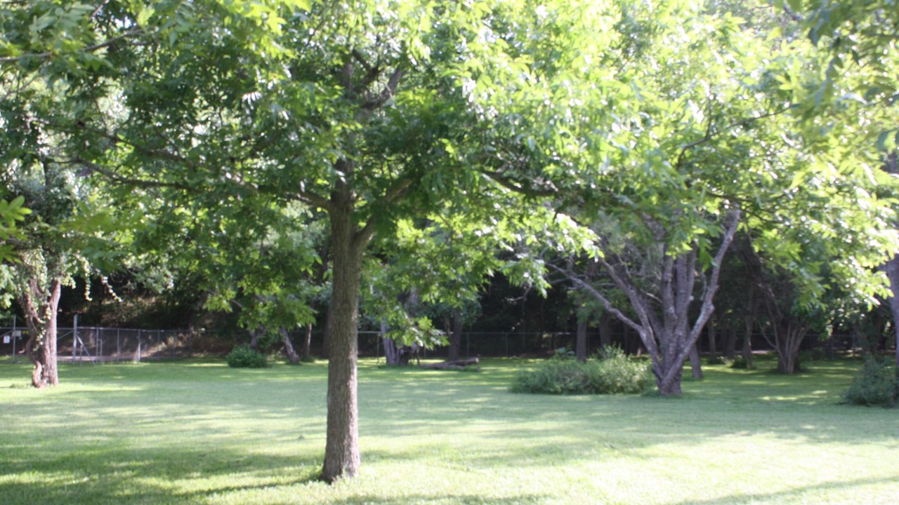 Photo of Outdoor in New Braunfels