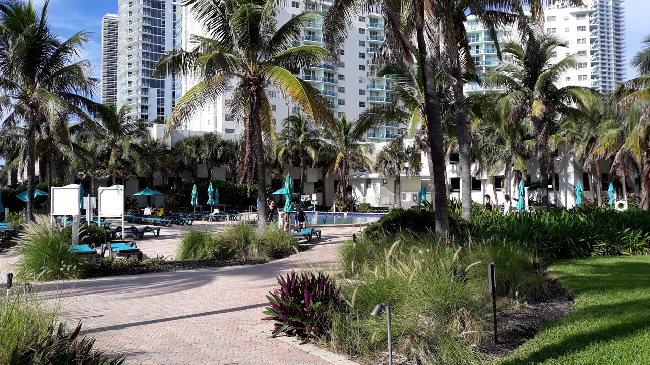 Photo of Outdoor in Hollywood South Central Beach