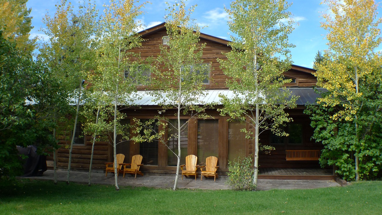 Photo of Outdoor in Almont