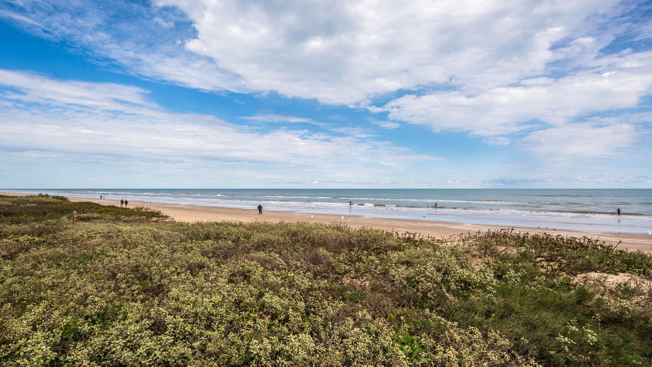 Photo of Others in South Padre Island