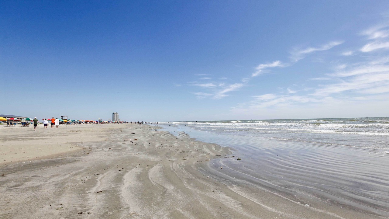 Photo of Others in Galveston