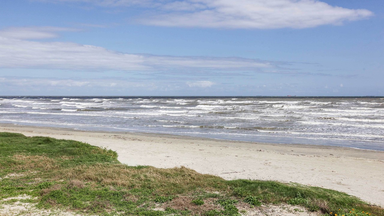 Photo of Others in Galveston