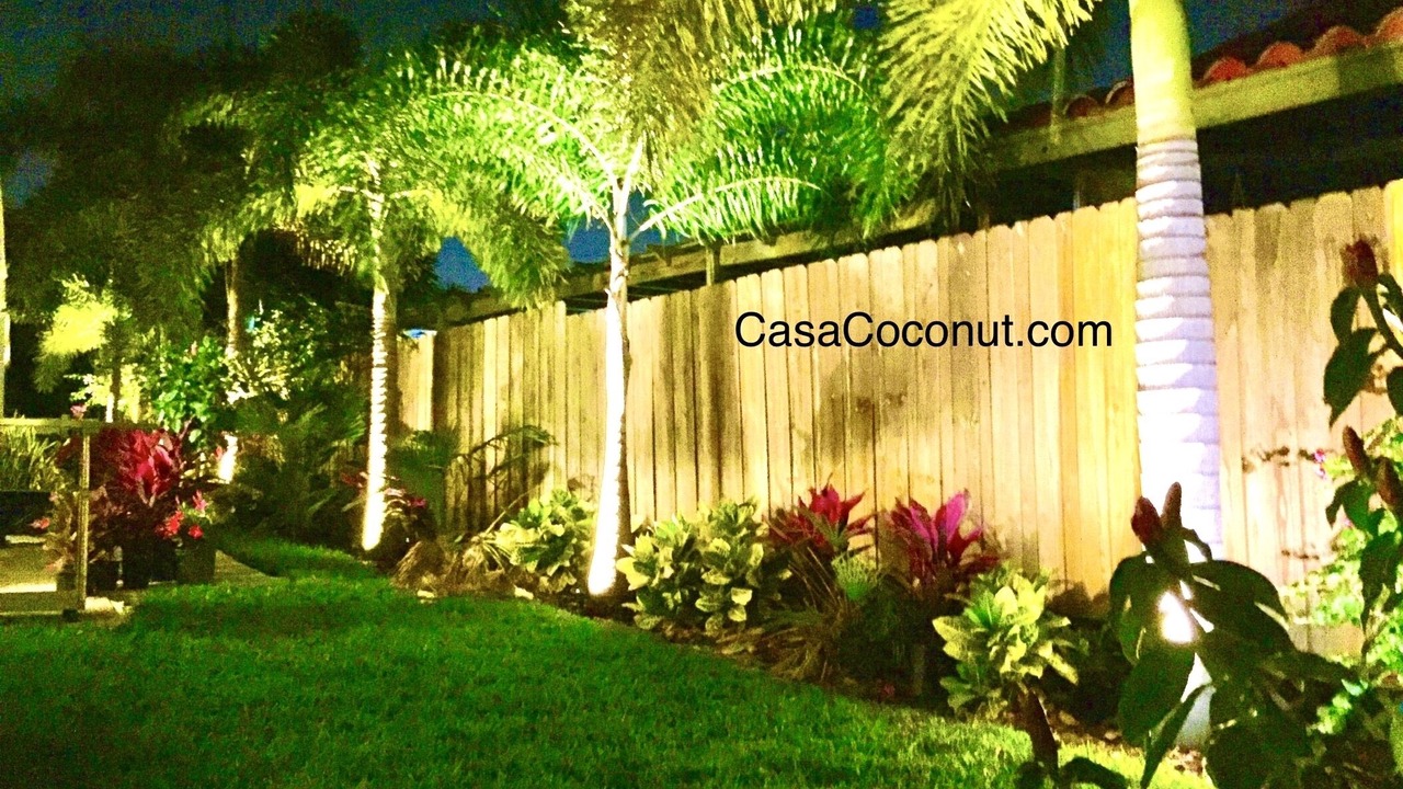 Photo of Outdoor in East Fort Lauderdale