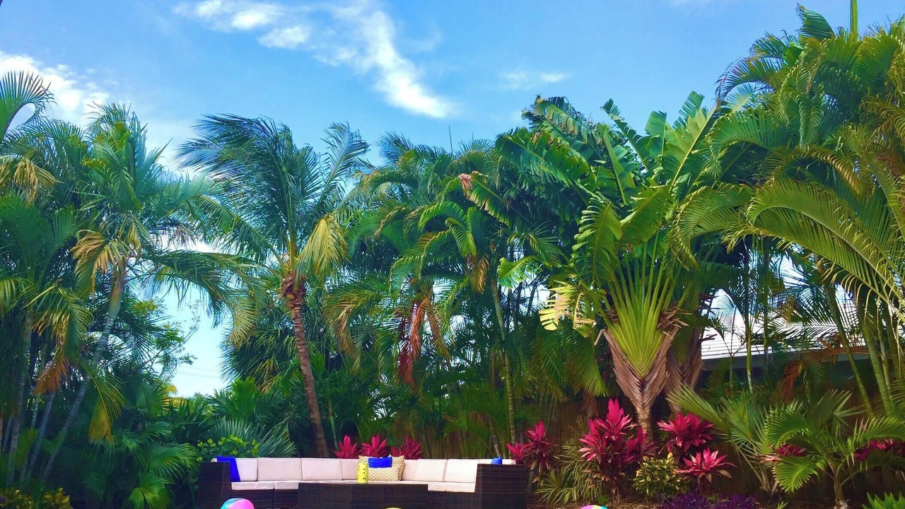 Photo of Outdoor in East Fort Lauderdale