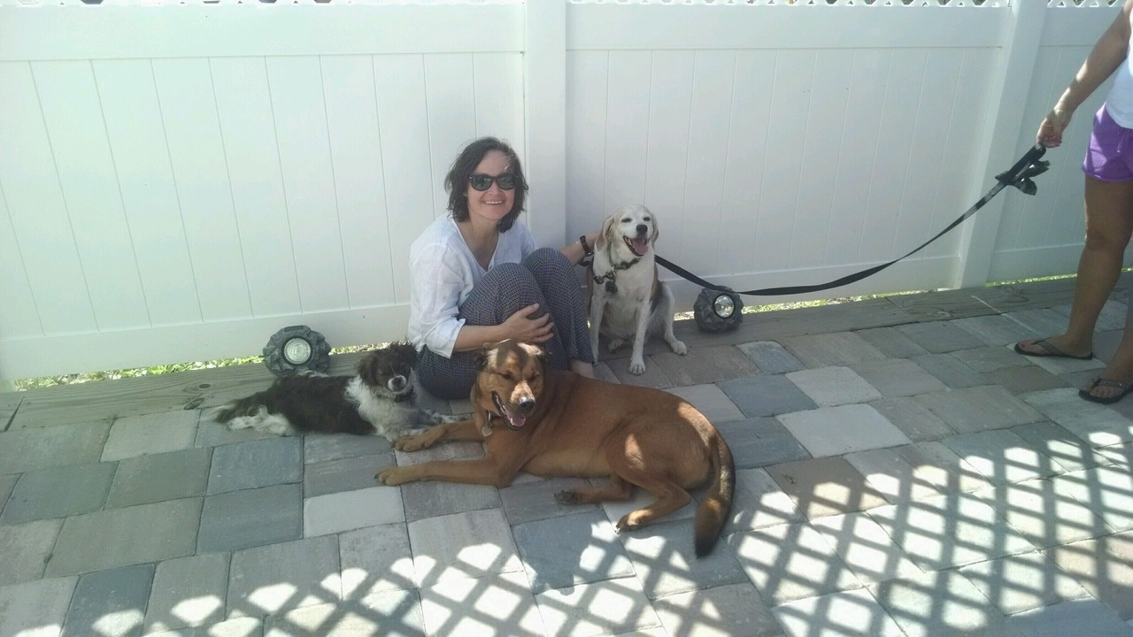 Photo of Others in St. Augustine Beach