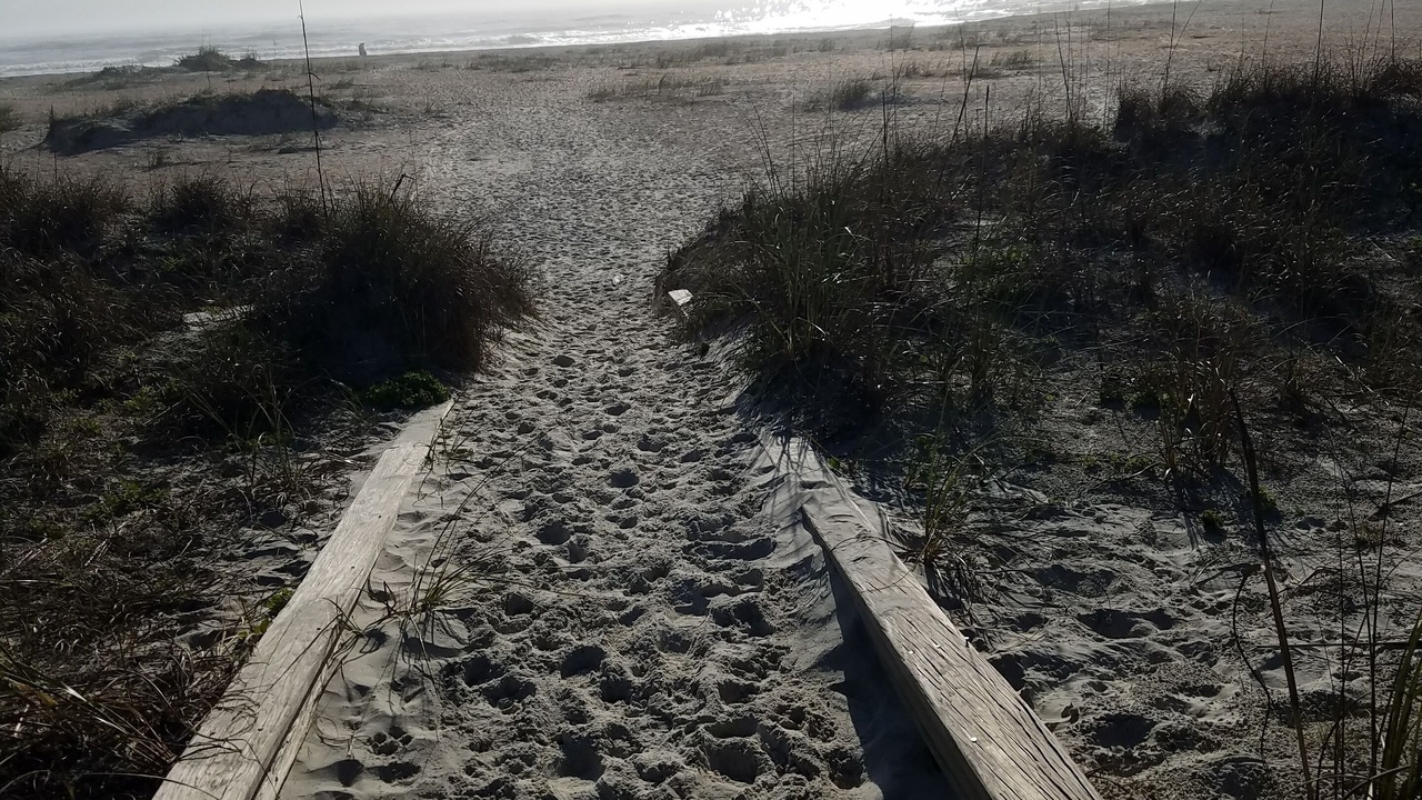 Photo of Others in St. Augustine Beach